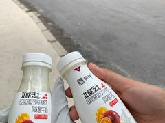 -金龙寺国家森林公园