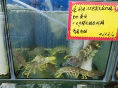 -蚝专家(北滘店)