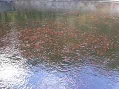-普陀山风景名胜区-法雨禅寺