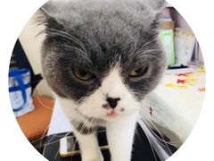 -猫音日语留学培训