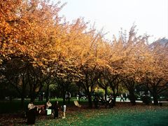 -唐城墙遗址公园