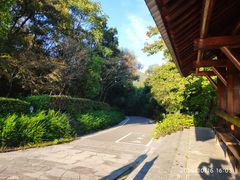 -南京老山国家森林公园
