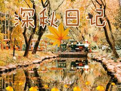 -上海共青森林公园