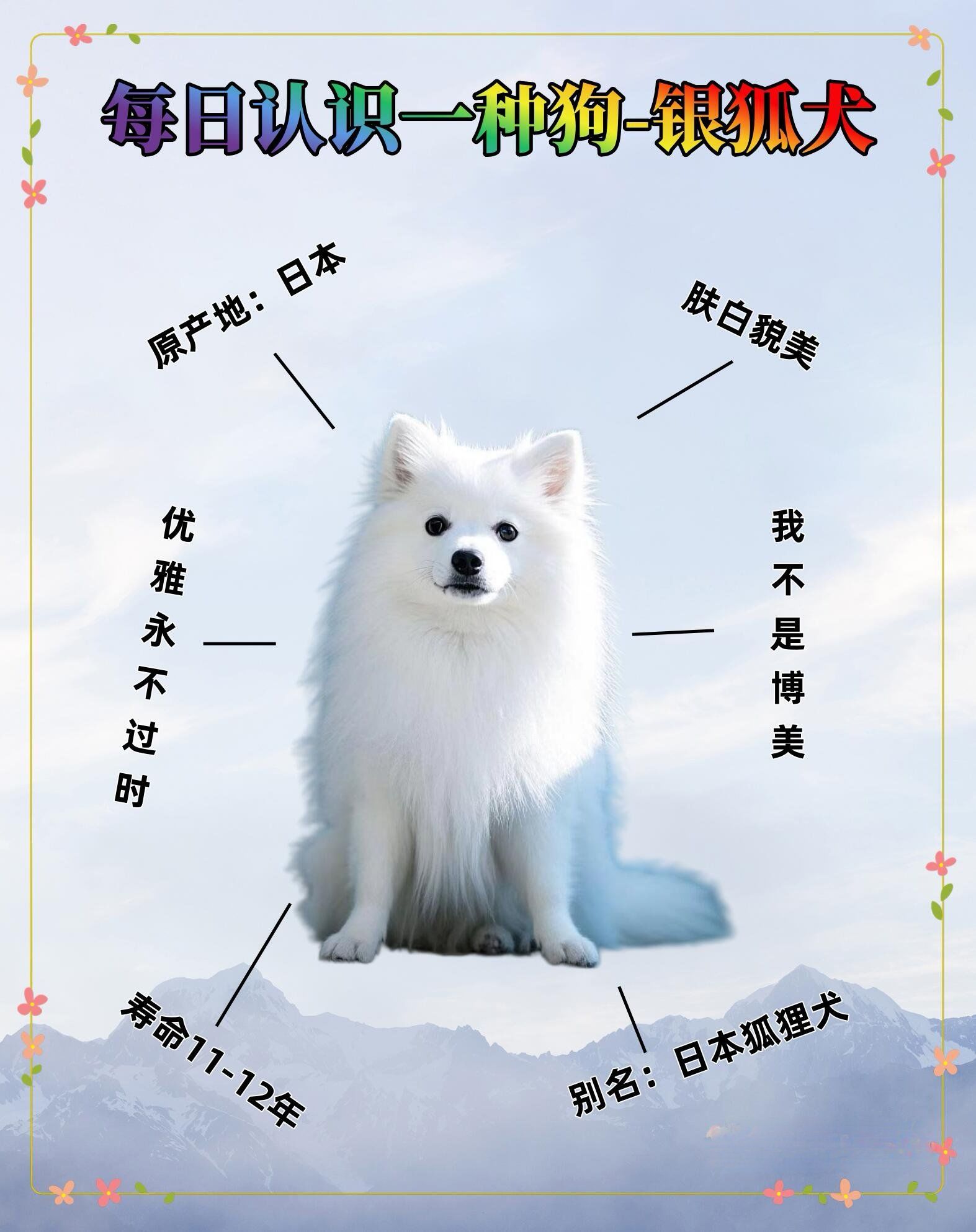 🐕每日认识一种狗