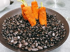 -丁老爷子苏香圆