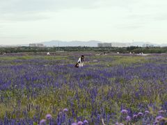 -赛汗塔拉风情园