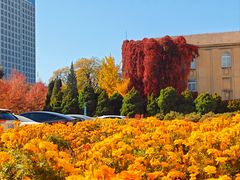 -辽宁大学(崇山校区)