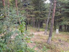 -帽儿山国家森林公园