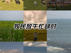 -青海湖国家重点风景名胜区