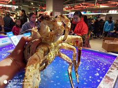 -盒马鲜生(莱蒙都会店)