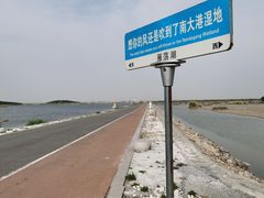 -南大港湿地风景区