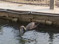 -水磨沟公园