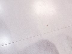 -嘉州九妹凤爪(乐山总店)