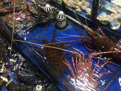 -无锡天鹏食品城