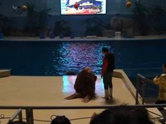 -泉城欧乐堡海洋极地世界