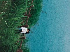 -广西壮族自治区药用植物园