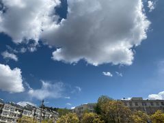 -清真喜兰老丁羊汤特色小吃