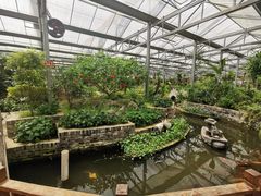 -嬉乐湾休闲旅游区