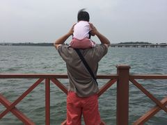 -丁香湖公园
