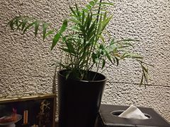 -松竹和日式料理(广厦店)