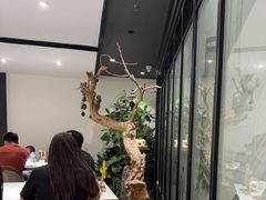 -羲和雅苑•北京烤鸭(国贸商城店)