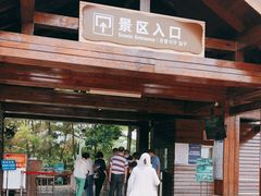 -大湾区中央湿地公园