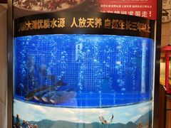 -潇湘码头·鲜湘菜(清河店)