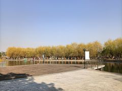-五环公园