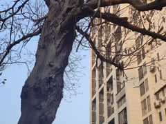 -长沙市青少年宫