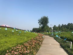 -天府芙蓉园