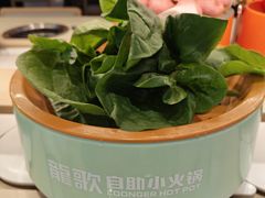-龍歌自助小火锅(市北台东利群店)