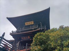 -大唐贡茶院
