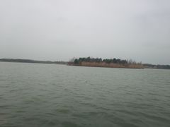 -南湖湿地公园