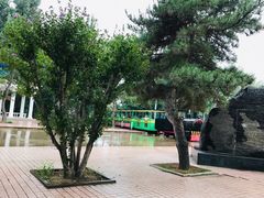 -南戴河国际娱乐中心