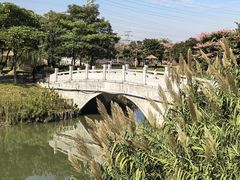 -王借岗森林公园