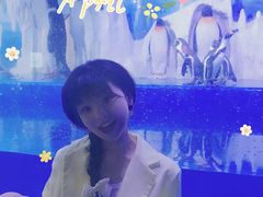 -多彩贵州城极地海洋世界