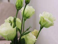 -COTTON CAFE(德信·中外公寓店)