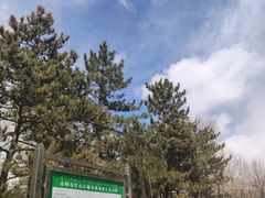 -红山国家森林公园