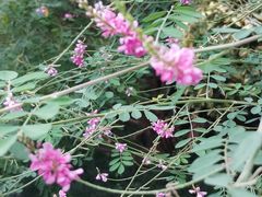 -杭州城北体育公园