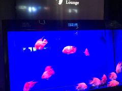 -柒Lounge(三里屯店)