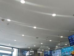 -雾与山茶(大禹城店)
