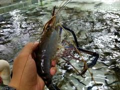 -沙田台山海鲜·酣客酒窖