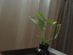 -和颐至尊酒店(上海徐家汇桂林公园地铁站店)