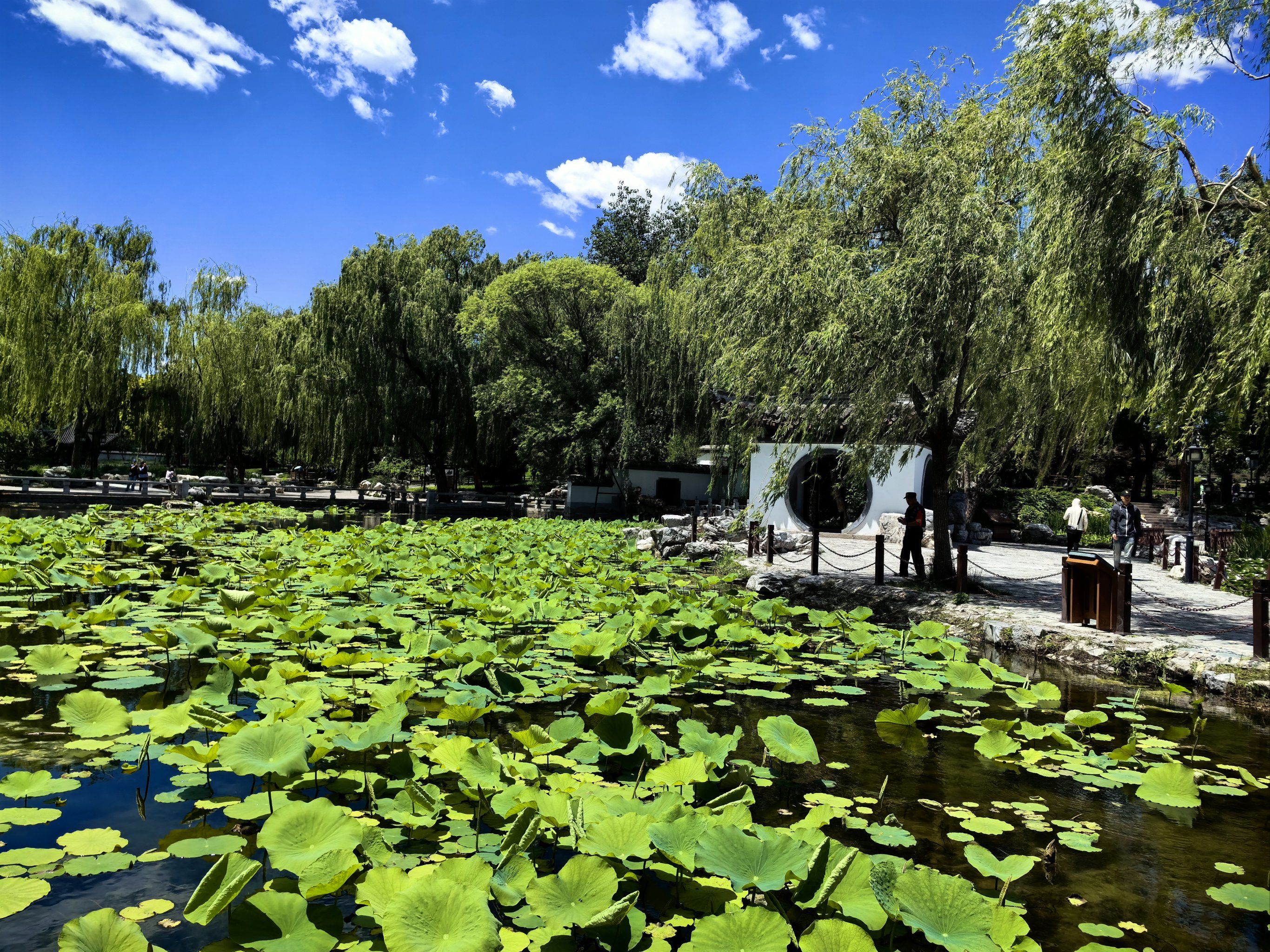 公园美景赏心悦