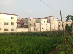 门面-欢姐伦教糕(北海大道北店)