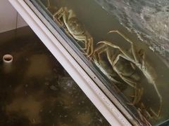 -小陆莲花蟹园农家乐(莲花岛店)