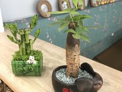 -ChaKo Flora ·茶子花艺 (市北店)