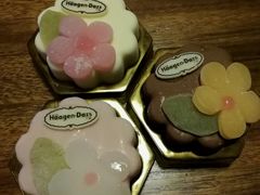 玲珑心意冰淇淋月饼-哈根达斯(万象城店)