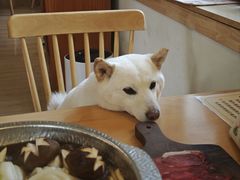 -柴の食堂·日式家庭料理·熊之肆(大学路店)