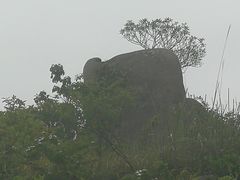 -大罗山风景区